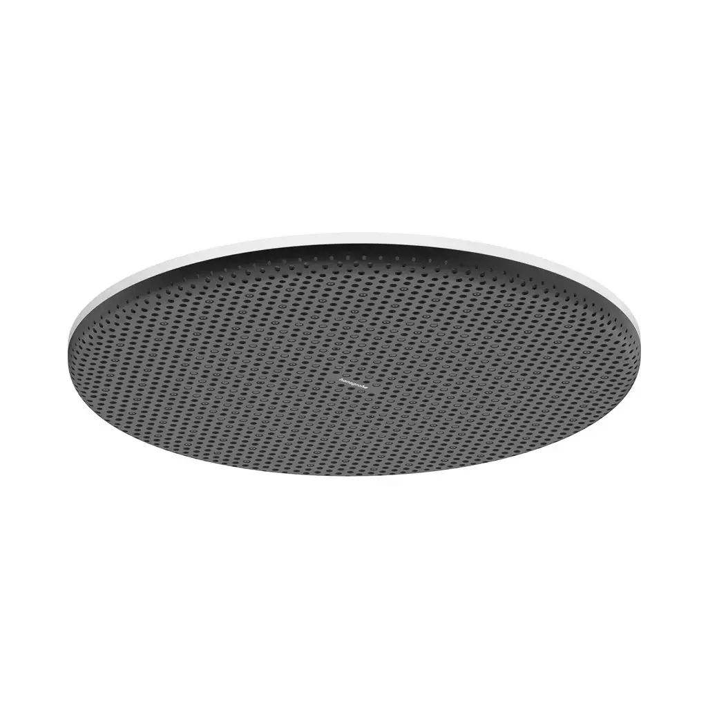 Hansgrohe Raindance Alive S Tepe duşu 300 1jet EcoSmart Mat Beyaz, 24521700 - 1
