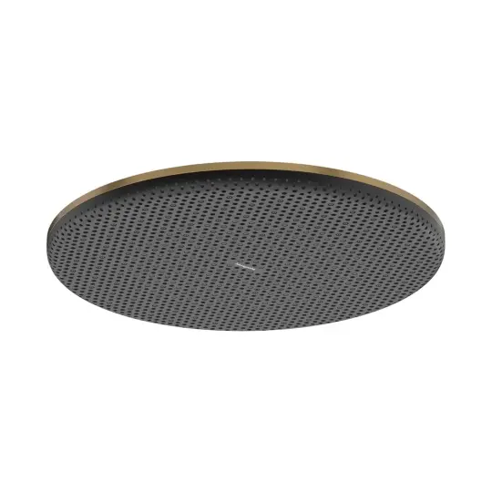 Hansgrohe Raindance Alive S Tepe duşu 300 1jet EcoSmart Mat Bronz, 24521140