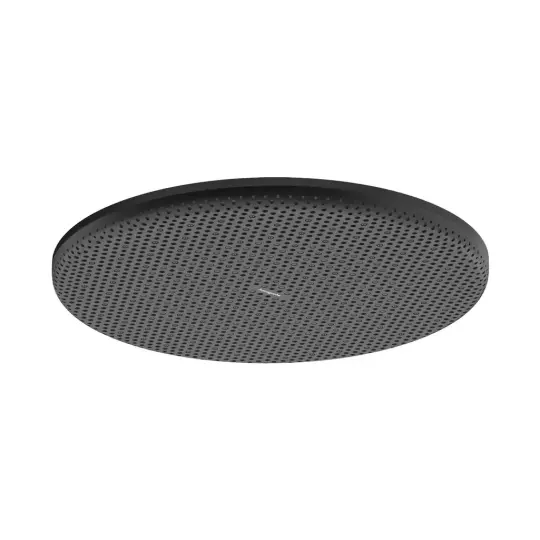 Hansgrohe Raindance Alive S Tepe duşu 300 1jet EcoSmart Mat Siyah, 24521670