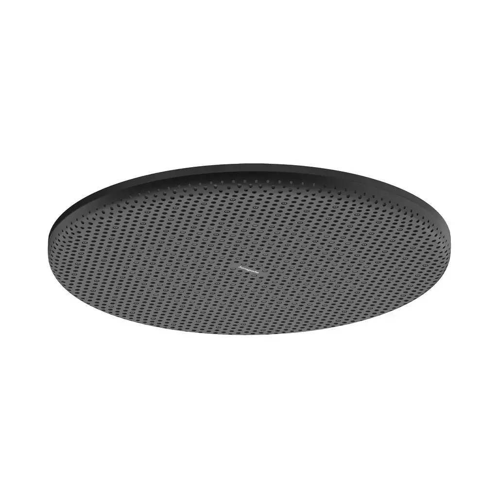 Hansgrohe Raindance Alive S Tepe duşu 300 1jet EcoSmart Mat Siyah, 24521670 - 1