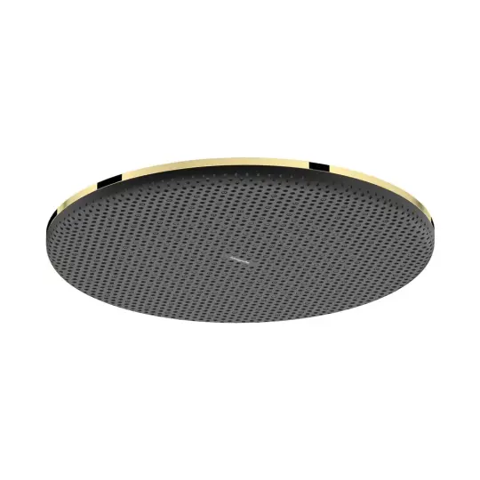 Hansgrohe Raindance Alive S Tepe duşu 300 1jet EcoSmart Parlak Altın, 24521990
